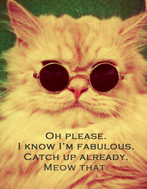 Cool Cat #quotes