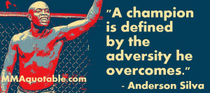 More Anderson Silva quotes .