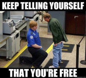 In the on-going sordid history of TSA agents bullying, harassing ...