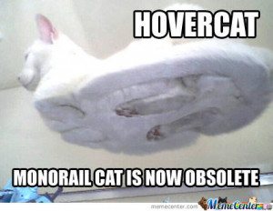 Hover Cat Meme