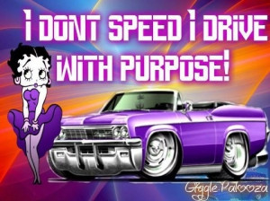 Don't Speed I Drive With Purpose!