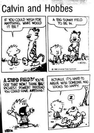 Happy Birthday CALVIN & HOBBES!