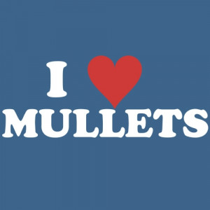 Funny Mullets
