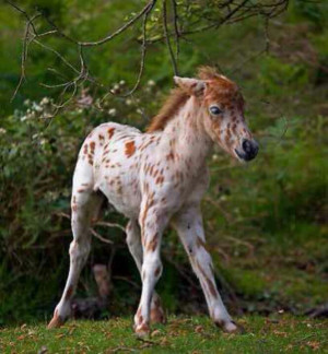 Found on Uploaded by user