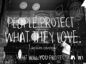People Protect What They Love.