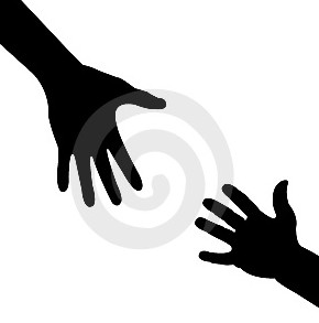 Quotes from Clients: