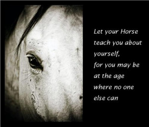 sad horse quotes
