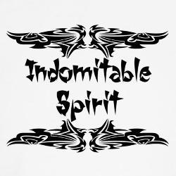 indomitable_spirit_tee.jpg?height=250&width=250&padToSquare=true