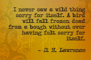 self pity .....such a waste