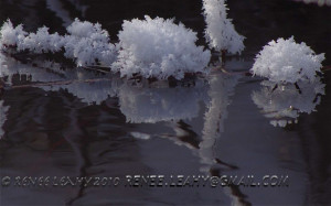 Funny Quotes Contact Us DMCA Notice