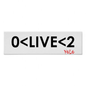 YOLO Math Funny Poster