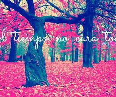 Valery Méndez ♛ Follow over 1 year ago