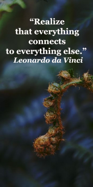 ... that everything connects to everything else.” Leonardo da Vinci