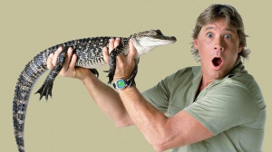 death animals steve irwin crocodile hunter Tribute irwin Australia zoo ...