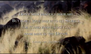 don-t-only-practice-your-art-but-force-your-way-into-its-secrets-for ...