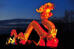 Chinese New Year 2014: Colourful Pictures as Year of the Horse ...