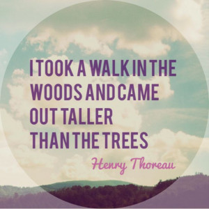 the trees.Henry Thoreau, Nature Journals, Walks, Nature Quotes, Quotes ...