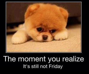 Moment you realize it's still not Friday!
