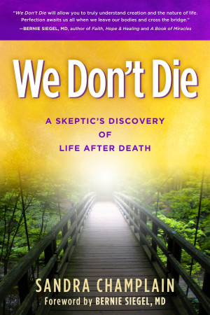 We Don't Die - A Skeptic's Discovery of Life After Death