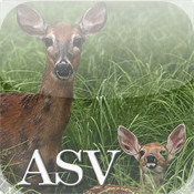 Related Pictures psalm daily quotes asv 1 2