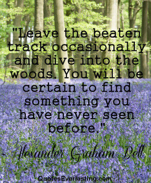 Leave the beaten track occasionally and dive into the woods