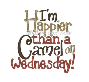Happier than a Camel on Wednesday!