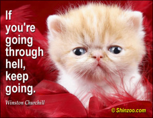 30+ Powerfull Quotes About Strength