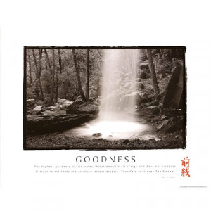 Title: Tao Te Ching Goodness Waterfall Motivational Print Poster
