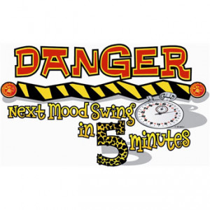 Danger Next Mood Swing In 5 Minutes – Yard Flag