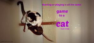Cat and Mouse Quotes
