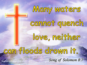 Song of Solomon Image