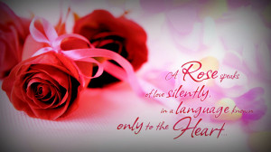 Beautiful roses with love quotes