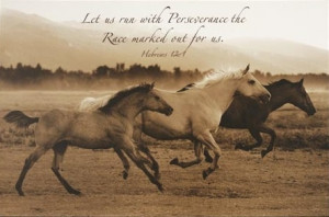 ... us run with perseverance the race marked out for us.
