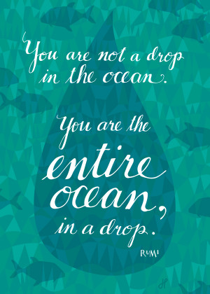 not a drop in the ocean. You are the entire ocean, in a drop. —Rumi ...