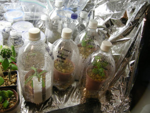 Most human beings have an almost infinite capacity for taking things