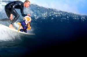 albert einstein compound interest is the eighth wonder of the world