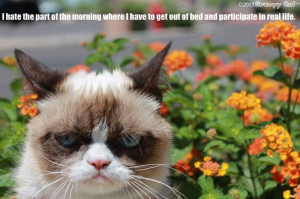 Pin it 1 Like 1 Image