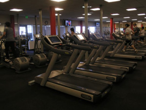 Related Pictures volleyball slogans funny volleyball sayings to make ...