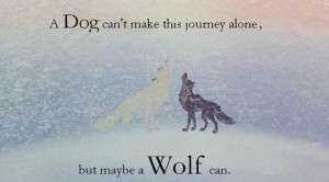 Equip Yourself With Some...