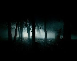creepy forest photo Dark-Forest-35836.jpg