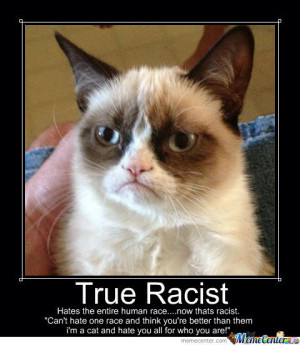 Well Spoken Angry Cat;)