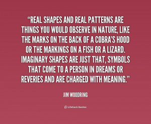 ... -Jim-Woodring-real-shapes-and-real-patterns-are-things-216085_1.png