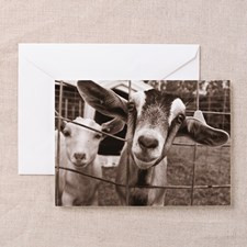 Goats On A Farm Greeting Card for
