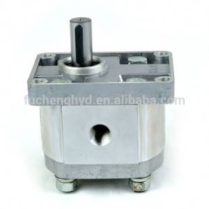 P18 Constant Flow Gear Pumps-2[C]P14 10/12.5LF01H16LSS for ...