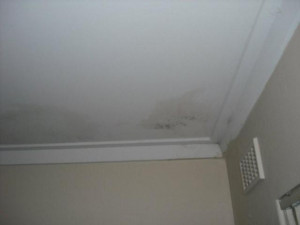 mold on ceiling