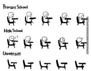 Primary School vs. High School vs. University