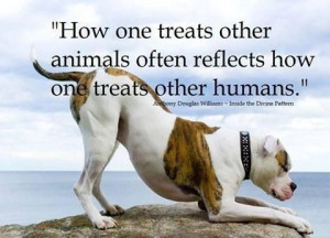 ... silent cry of agony and let us all help that cry to be heard in the