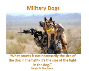 ... , Military Men, Wars Dogs, Service Dogs, German Shepherd, Work Dogs