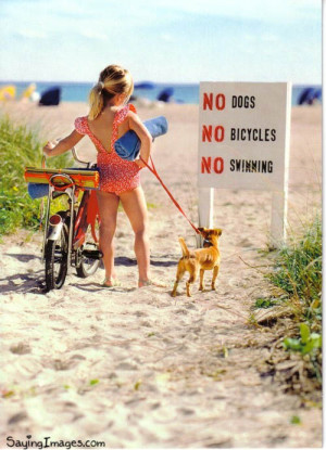 No Dog No Bicycle No Swimming
