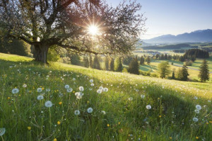 Relaxing Places To Put Your Mind At Ease